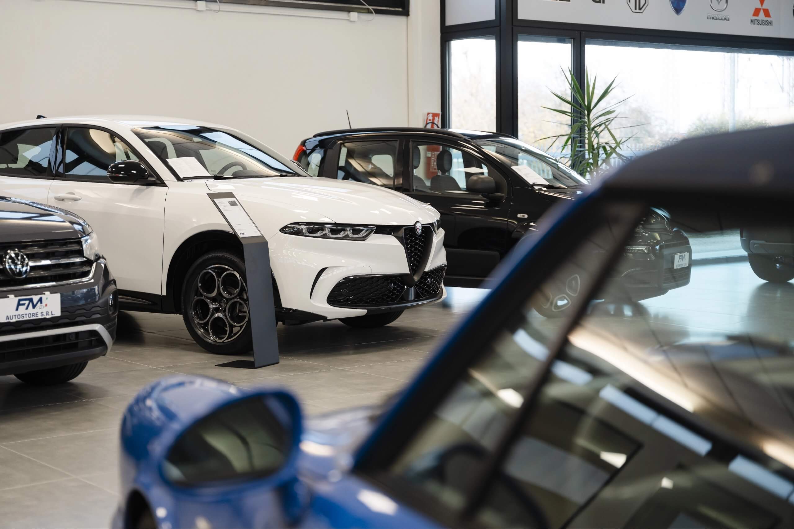 Showroom con Alfa Romeo Tonale e altre auto esposte